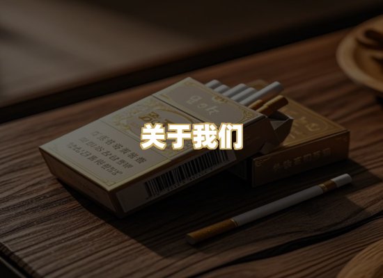 关于我们